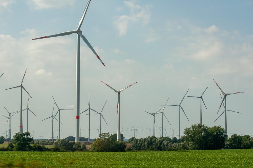Windpark mit zahlreichen Windenergieanlagen über Feldern und Baumreihen – Windparkflächen bewerten heißt Genehmigung, Nutzungsentgelt und Rückbau zu erfassen