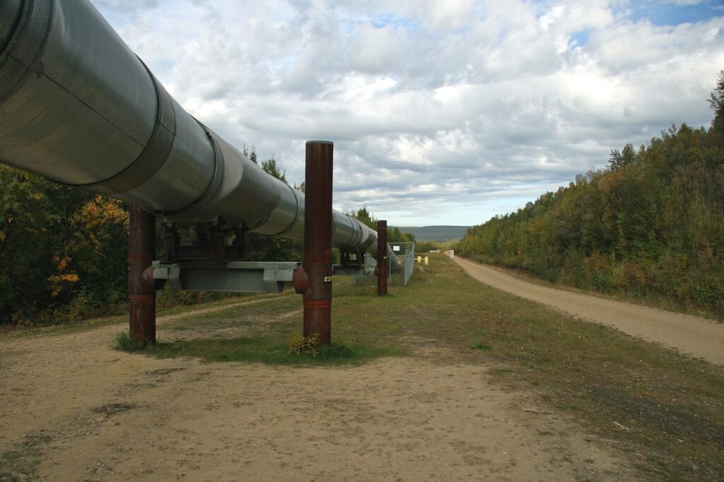 Above-ground natural gas pipeline on steel supports running along a forest corridor